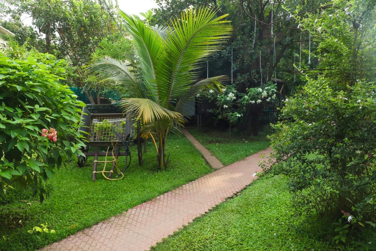 אליבג Sanidhya Beach Resort מראה חיצוני תמונה