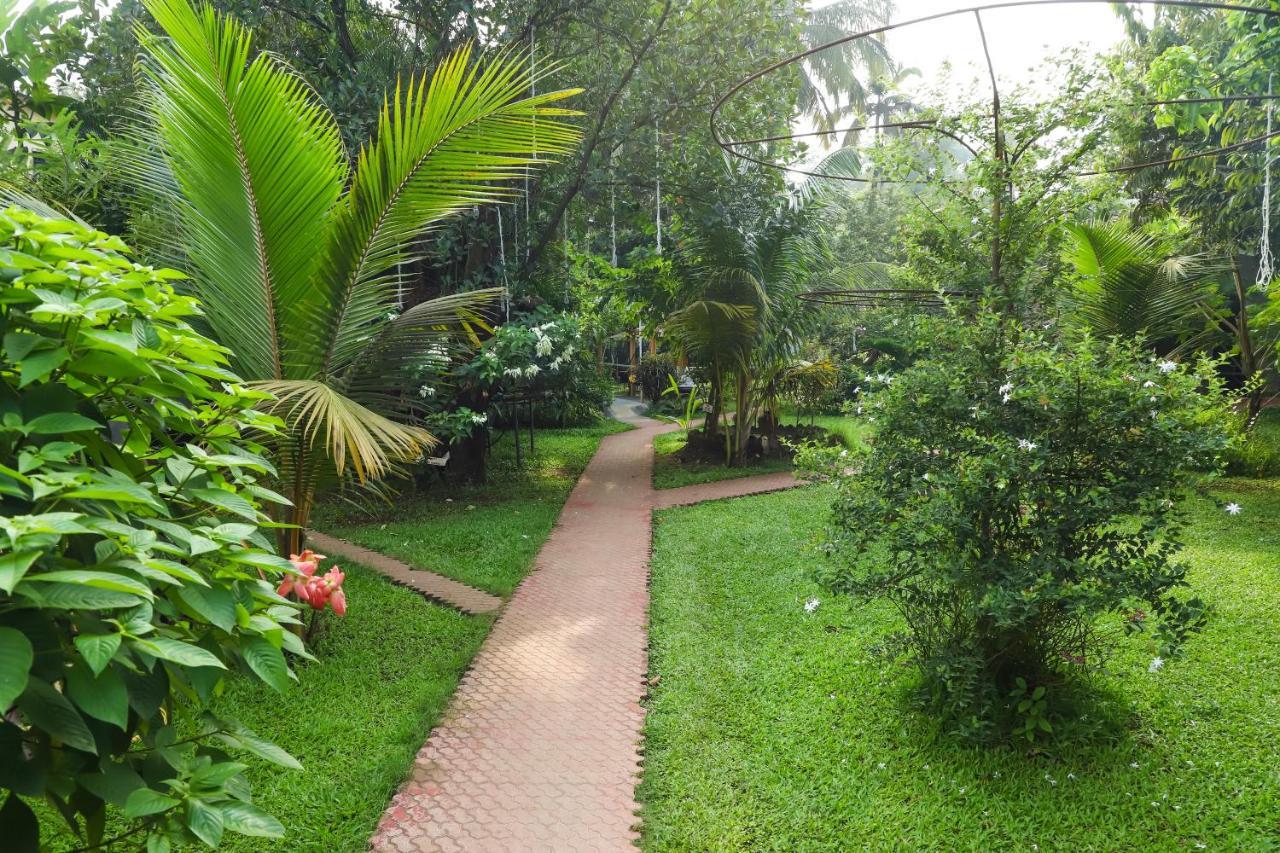 אליבג Sanidhya Beach Resort מראה חיצוני תמונה